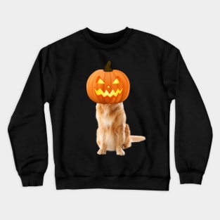 labrador retriever is a Jack-o-Lantern Crewneck Sweatshirt